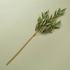 a plant with green leaves is on the wall next to a wooden stick that has been placed in front of it