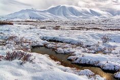 a snowy landscape with mountains and water in the foreground, snow on the ground