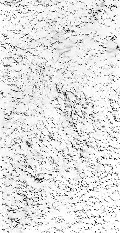 black and white photograph of snow on the ground with birds in flight over it, taken from above