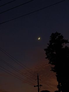 the moon is shining brightly in the sky above power lines and telephone poles at night