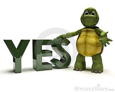 a tortoise standing next to the word yes