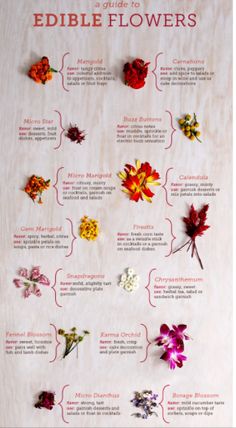 the edible flowers poster is displayed on a white tablecloth with red, yellow and purple flowers