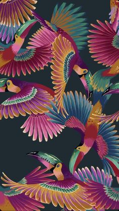 colorful birds are flying in the sky together