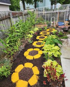 a garden with yellow and brown flowers in the dirt next to a fenced area