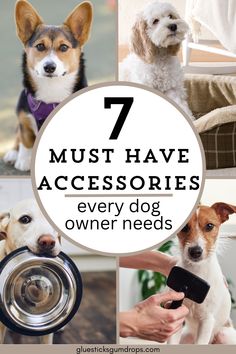 New Dog 101: Top 7 Accessories Every First-Time Owner Needs Dog Owner Tips, Dog 101, Classic Turtleneck, Mental Stimulation, Safe Environment, Do's And Don'ts, Happy Tails, Dog Hacks