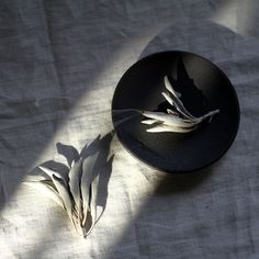 a black bowl with some white flowers in it and the shadow of a person's hat