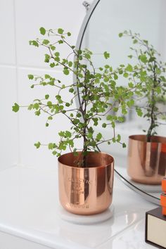 two copper pots with green plants in them on a white counter next to a mirror