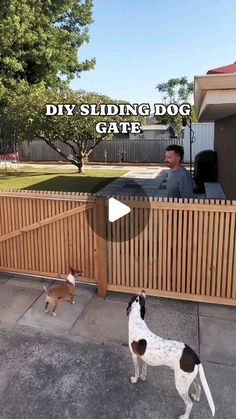 two dogs standing next to each other near a wooden fence with the caption diy sliding dog gate