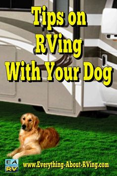 a brown dog laying on top of green grass next to a white trailer with the words tips on rving with your dog