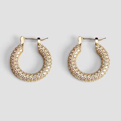 Pavé Medium Hoop Earrings - Iced Gold Earrings Stand, Medium Hoop Earrings, Earring Stand, Timeless Accessories, Earrings Collection, Steel Jewelry, Stainless Steel Jewelry, Gold Plated Jewelry, Jewelry Plate