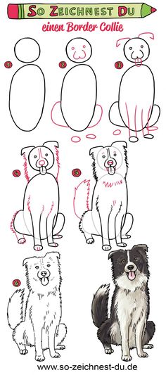 how to draw a cartoon dog with pencils and markers for beginners, step by step