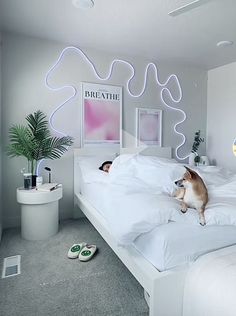 a dog sitting on top of a bed in a room with white sheets and pillows