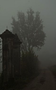 an old cemetery in the fog on a country road