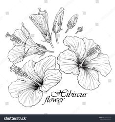 black and white drawing of flowers with the words stylisticus on it stock photo