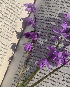 purple flowers sitting on top of an open book