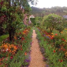 a garden with lots of colorful flowers and plants on the side of it, along with a gravel path that leads to a house