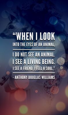 a quote from anthony douglas williams on the theme of'when i look into the eyes of an animal, i do not see an animal