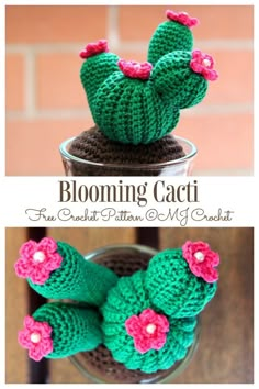 crocheted cactus plant in a glass vase with the words blooming cacti above it