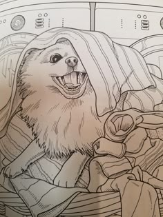 a drawing of a sloth in the back seat of a car