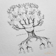 a drawing of a tree with its roots labeled in blue ink and the names of all branches