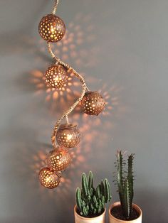 three potted cacti and some lights hanging from the side of a wall