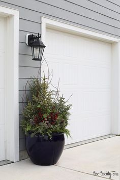 a potted plant sitting on the side of a house next to a garage door