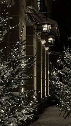 the lights are on in front of the building and trees lined up along the sidewalk