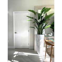 a houseplant in a tall white planter next to a door and table