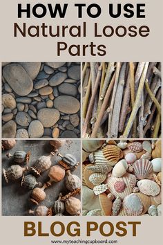 how to use natural loose or loose loose seashells in your home decorating project