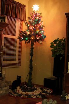 a cat sitting on the floor next to a christmas tree with multicolored lights