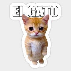 an orange cat with the words el gato on it's back and front paws