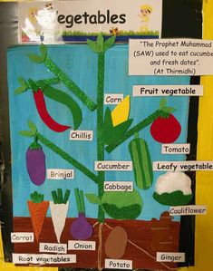 a bulletin board with vegetables on it and words describing the different parts of each plant