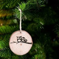 an ornament hanging from a christmas tree with two owls sitting on the branch