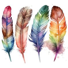 three watercolor feathers with different colors and sizes on the side, one is multi - colored