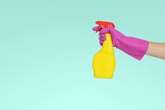 a hand in purple gloves holding a yellow spray bottle