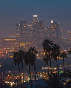 the city skyline is lit up at night, with palm trees in front of it