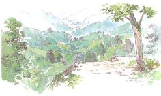 a watercolor painting of trees and mountains