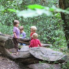 three children are sitting on large rocks in the woods, and one is looking at something