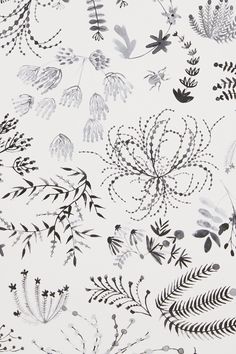 black and white floral designs on a white background