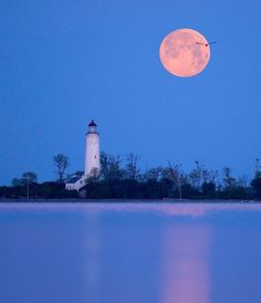 a full moon rising over a lighthouse on the water with trees in the foreground