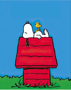 a snoopy dog is sitting on top of a red roof with a yellow star