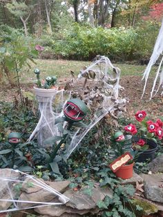 an outdoor garden with flowers and plants in plastic bags on the ground next to rocks