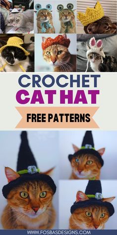 A collection of cute cats wearing a colorful crochet hat showcasing an easy and free crochet pattern for pet lovers. Crochet Cat Stuff, Crochet For Cats, Home Crochet Patterns, Homemade Aesthetic, Pumpkin Hat Pattern, Bathroom Crochet, Crochet Pumpkin Hat, Cat Hat Pattern, Pet Crochet