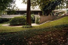 the house is surrounded by trees and grass