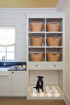 a dog sitting on a bench in the kitchen