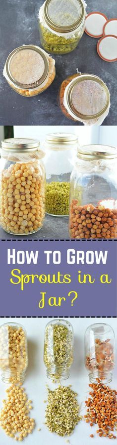 how to grow sprouts in a jar?