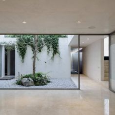 an empty room with a tree in the middle and some rocks on the ground next to it