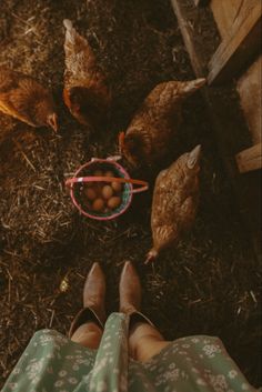 Morning gather 🐓🤎 #homesteading #chicken #farmlife #eggs #farmfresh #farm #countrylife #countryside #chickenphotography #farmphotography #cottagecore #folk #western #westernartphotography #westernartphotographer Mountain Homestead Aesthetic, Homesteading Photoshoot, Farm Asthetic Pics, Homemaker Vision Board, Owning Land Aesthetic, Farm Photography Ideas, Farm Vision Board, Farmer Astethic, Buying Land Aesthetic