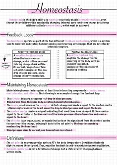 an info sheet describing how to use the homeostas