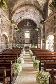 the inside of an old church with rows of pews and plants growing in them